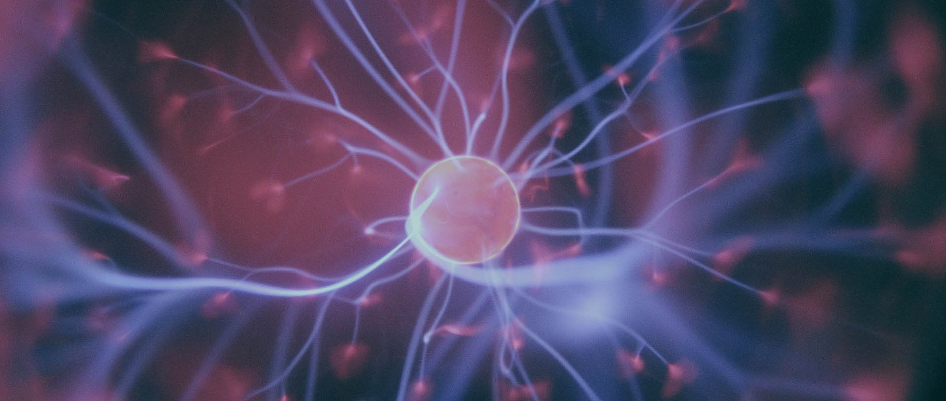 Aree prevalenti di intervento